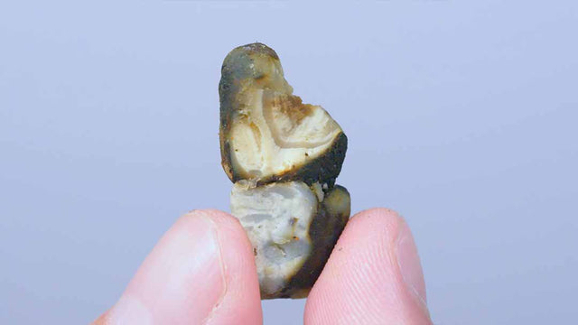 Dragon Dynamite - Magic Mushroom Truffels 15 gram