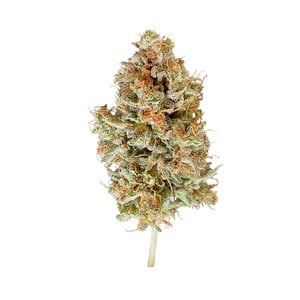 Easy Bud – RQS Auto