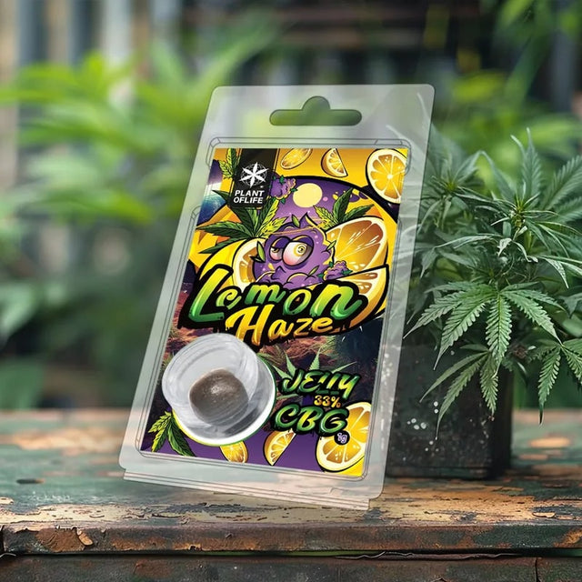 Plant of Life | Jelly 33% CBG Lemon Haze 1g