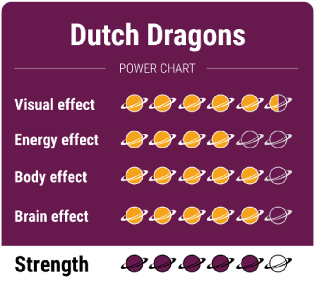 Dutch Dragons - Trufas de Setas Mágicas 15 gramos