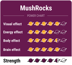 MushRocks - Magic Mushroom Truffels