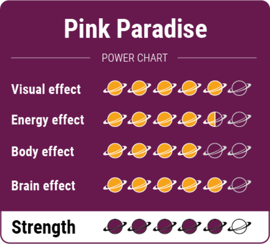 Pink Paradise - Магически гъби трюфели 15гр