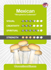 Mexican Mushroom XL Growkit 1200cc