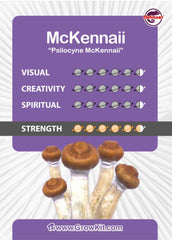 McKennaii Mushroom XL Growkit 1200cc