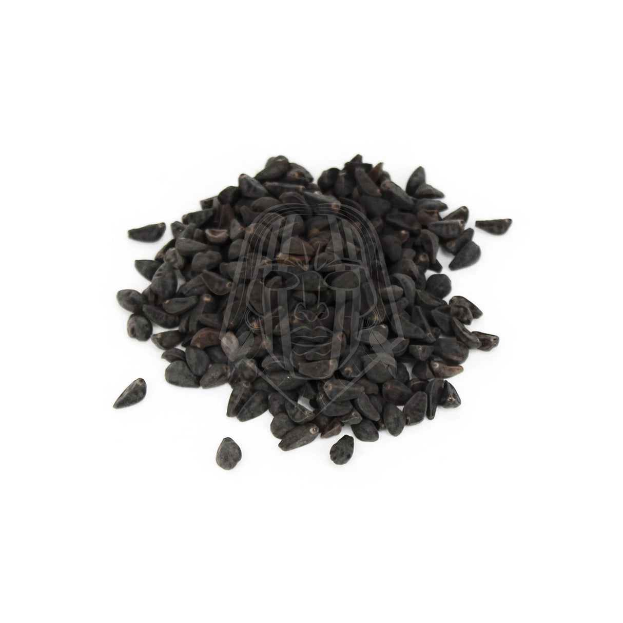 Morning Glory (Ipomoea Tricolor) (Indian Spirit) 10G