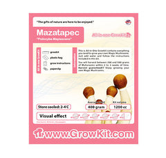 Mazatapec Mushroom XL Growkit 1200cc