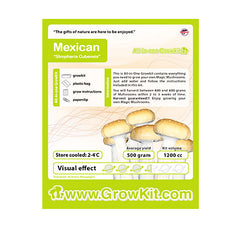 Mexican Mushroom XL Growkit 1200cc