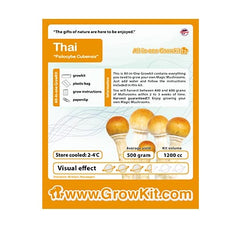 Thai Mushroom XL Growkit 1200cc