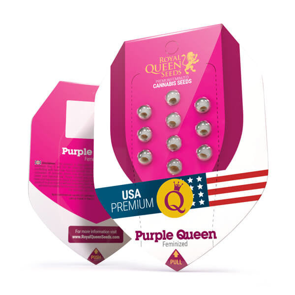 Purple Queen - RQS Feminized