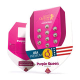 Purple Queen - RQS Feminized