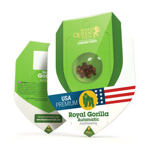 Royal Gorilla Automatisk - RQS Auto