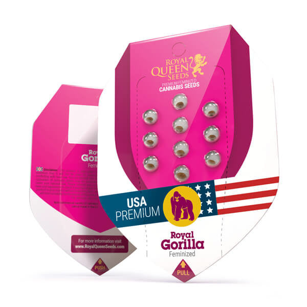 Royal Gorilla - RQS Feminiseret