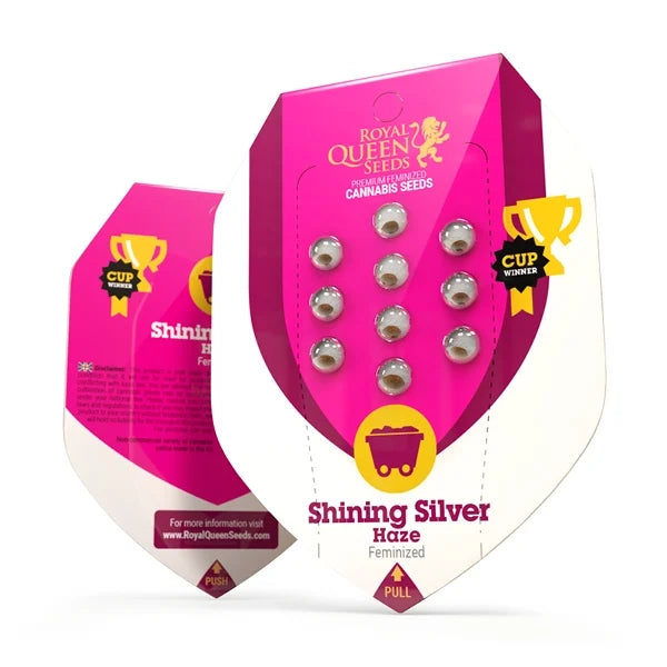 Shining Silver Haze - RQS Feminiseret