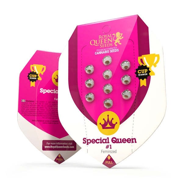 Special Queen - RQS Feminiseret